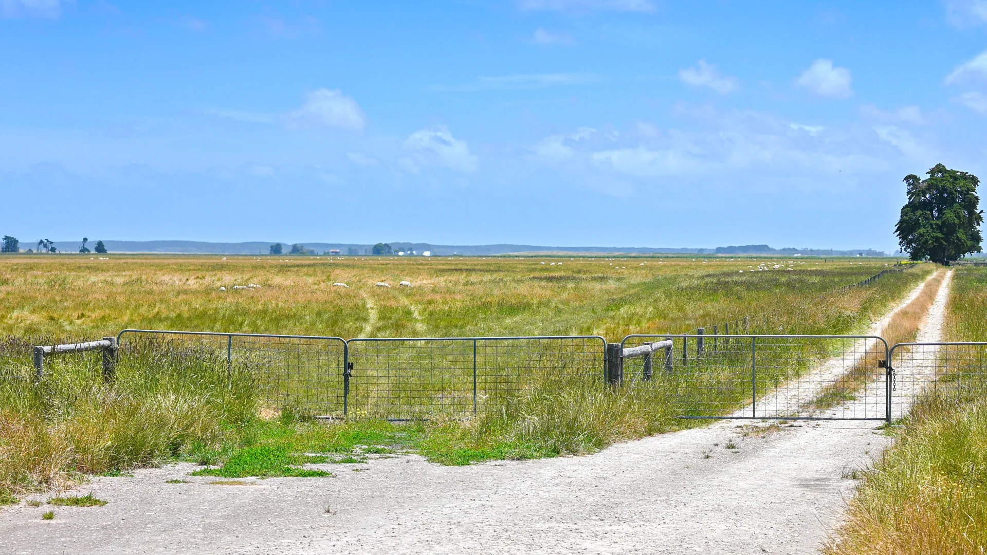 Image 18