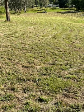 Image 14