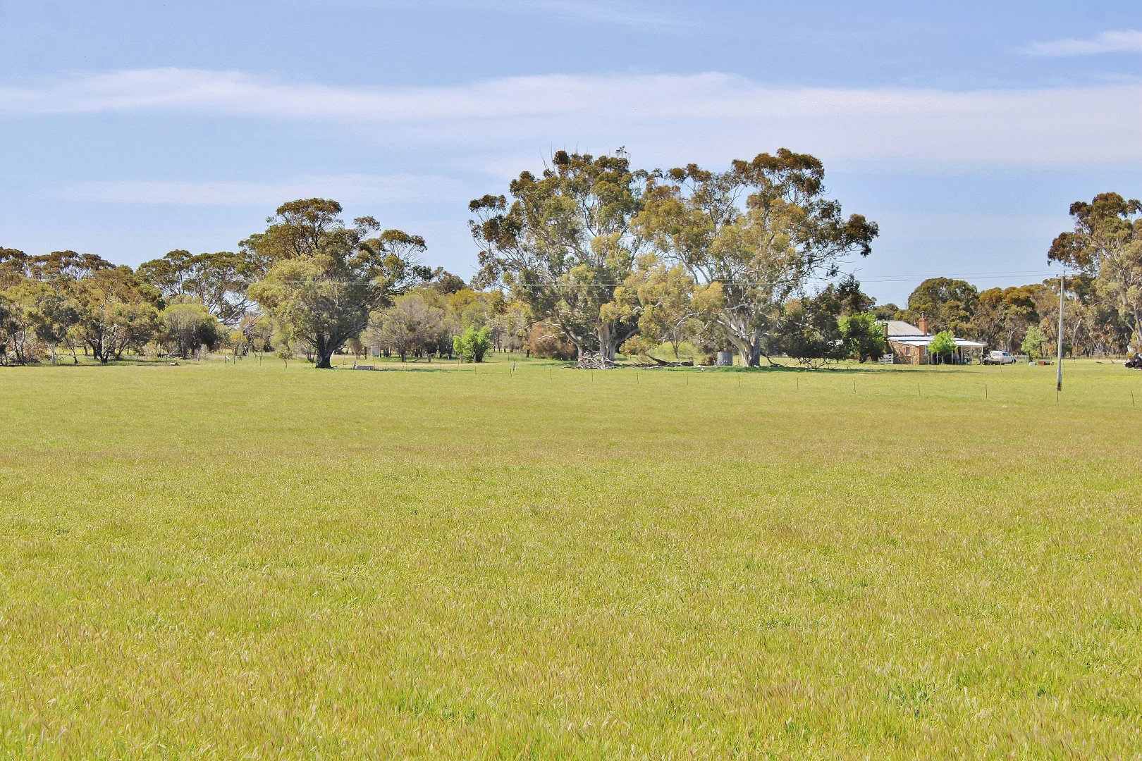 Image 13