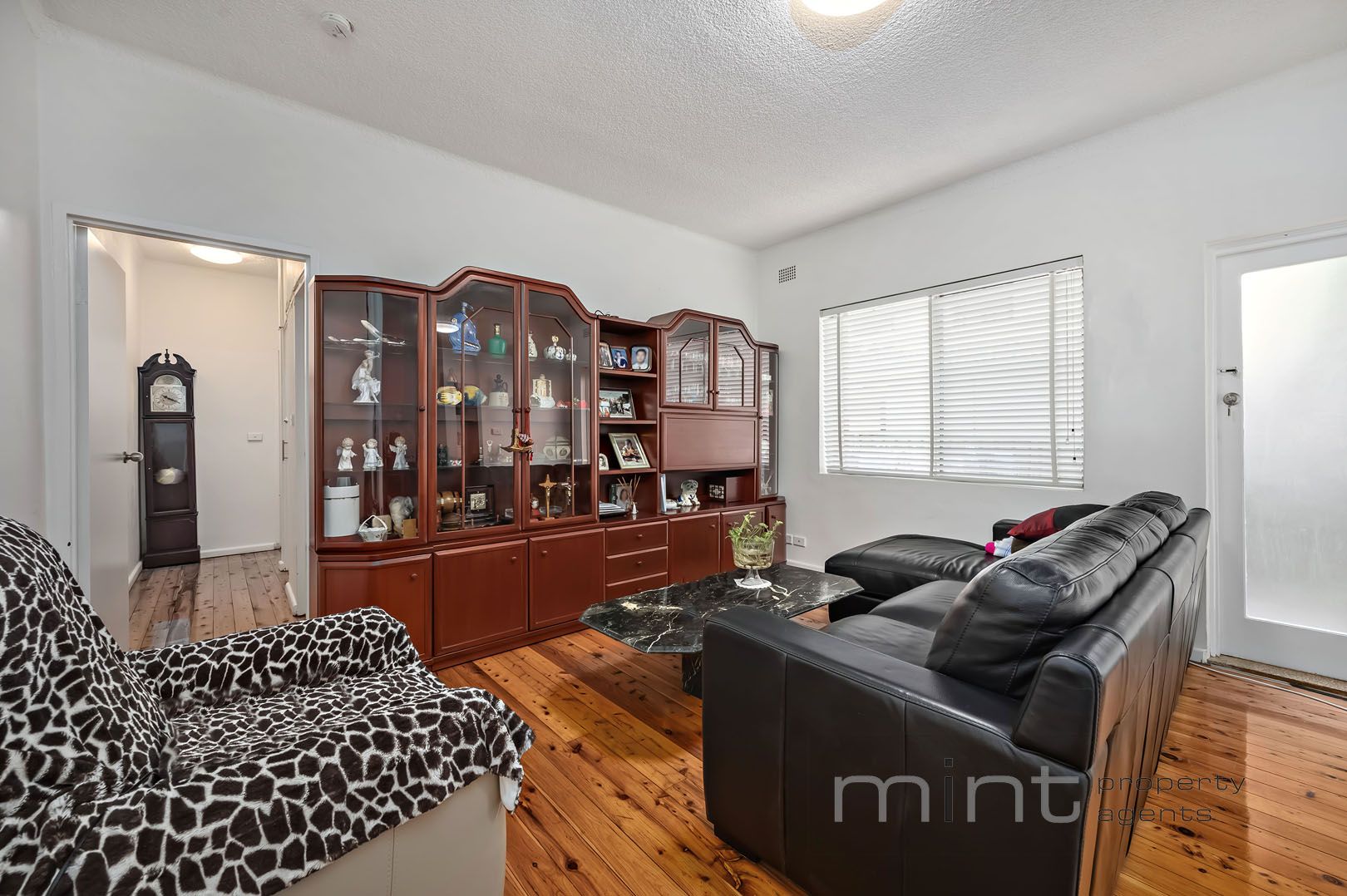 46 Lucerne Street, Belmore NSW 2192, Image 1