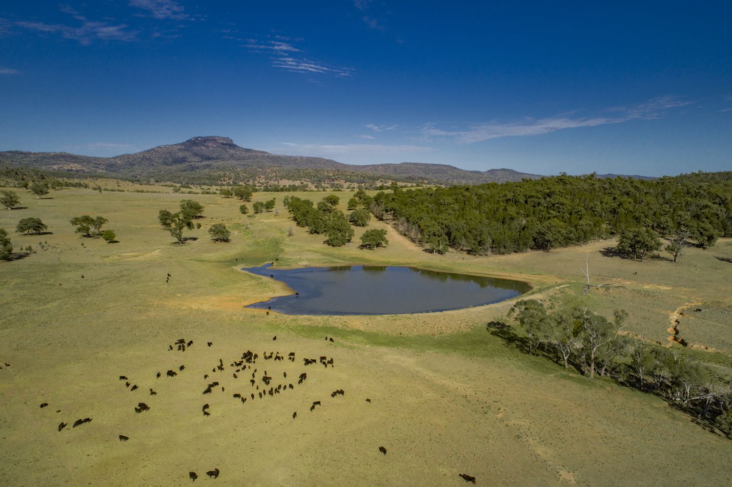 ' MT BULLAWAY STATION', Coonabarabran NSW 2357, Image 2