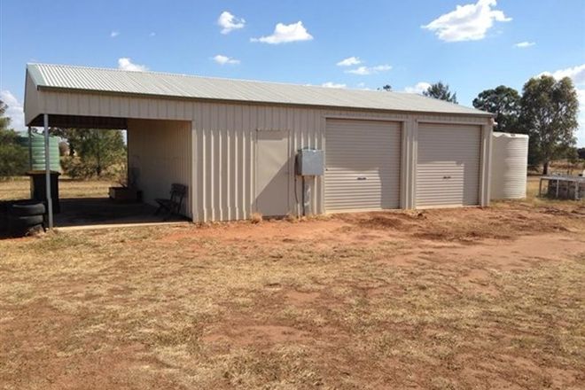 Picture of 19 Holland Place, GILGANDRA NSW 2827