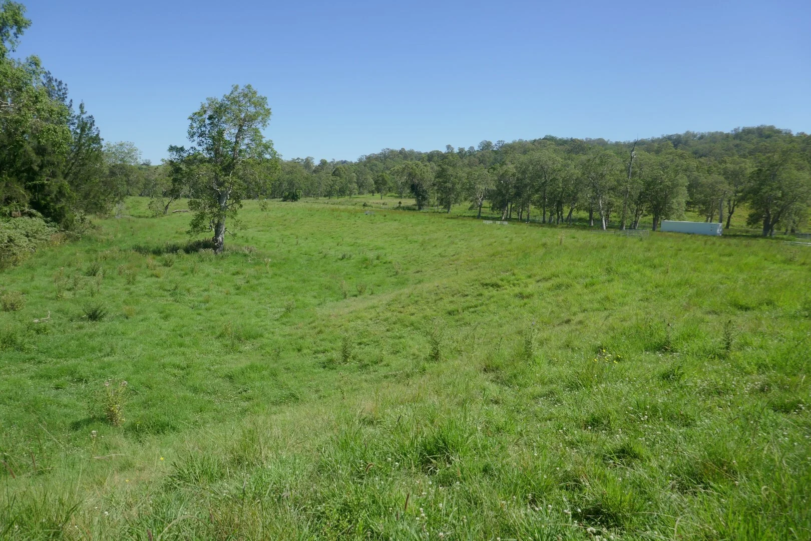 Image 30