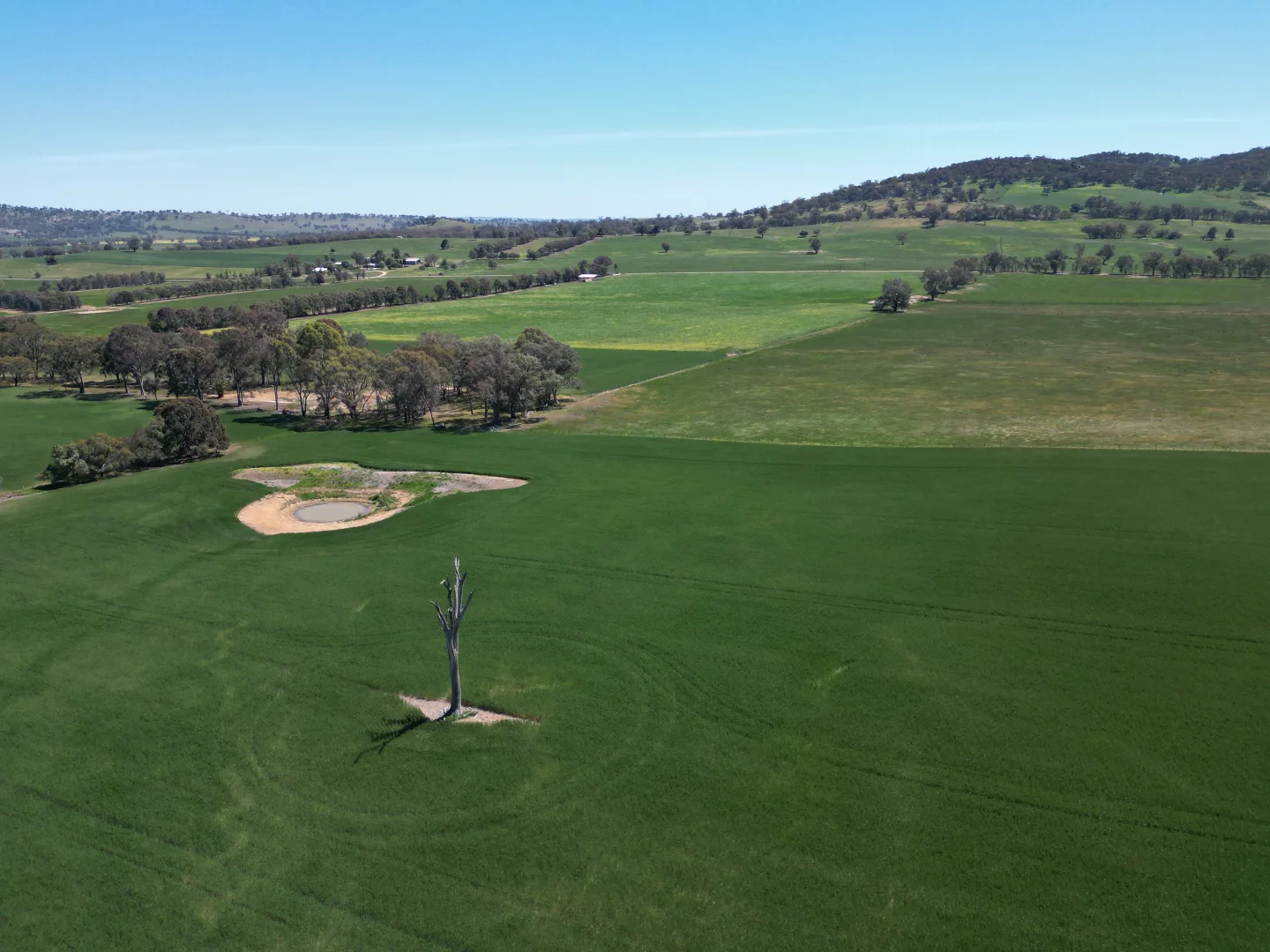 Additional image 23 of 798 Bethel Road, Glenellen NSW 2642