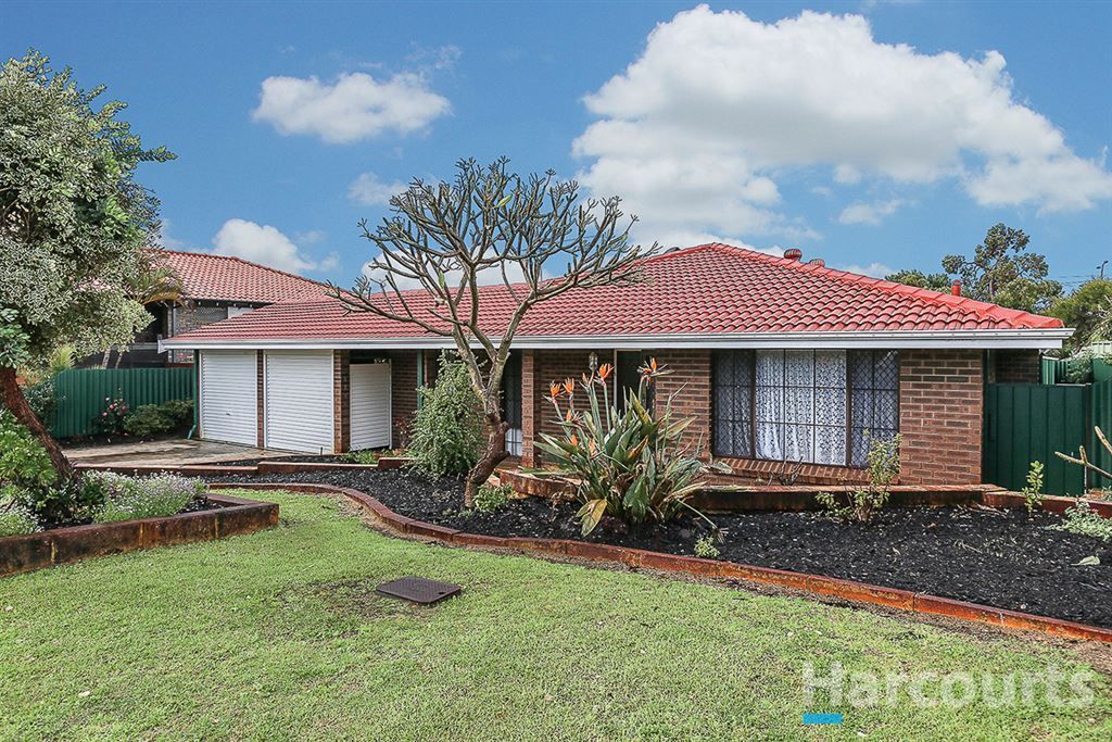 19 Ainslie Court, Kardinya WA 6163, Image 0