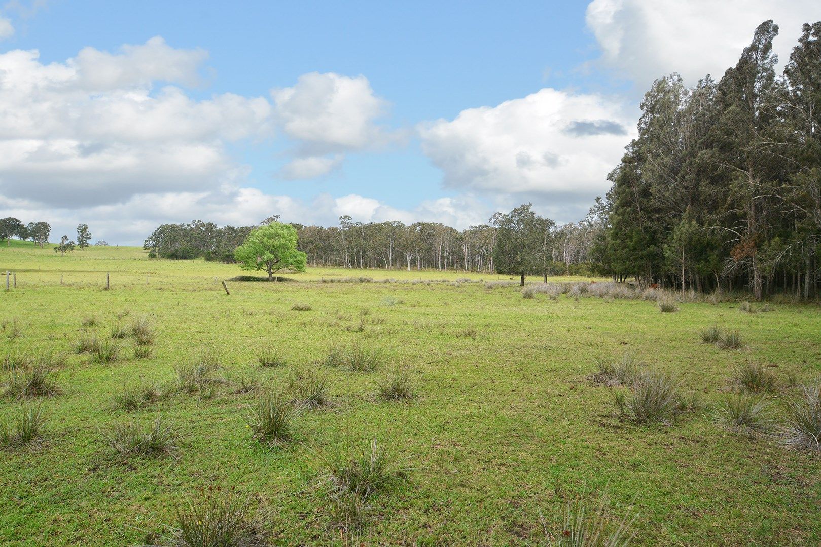 840 Sandy Creek Road, Quorrobolong NSW 2325, Image 2