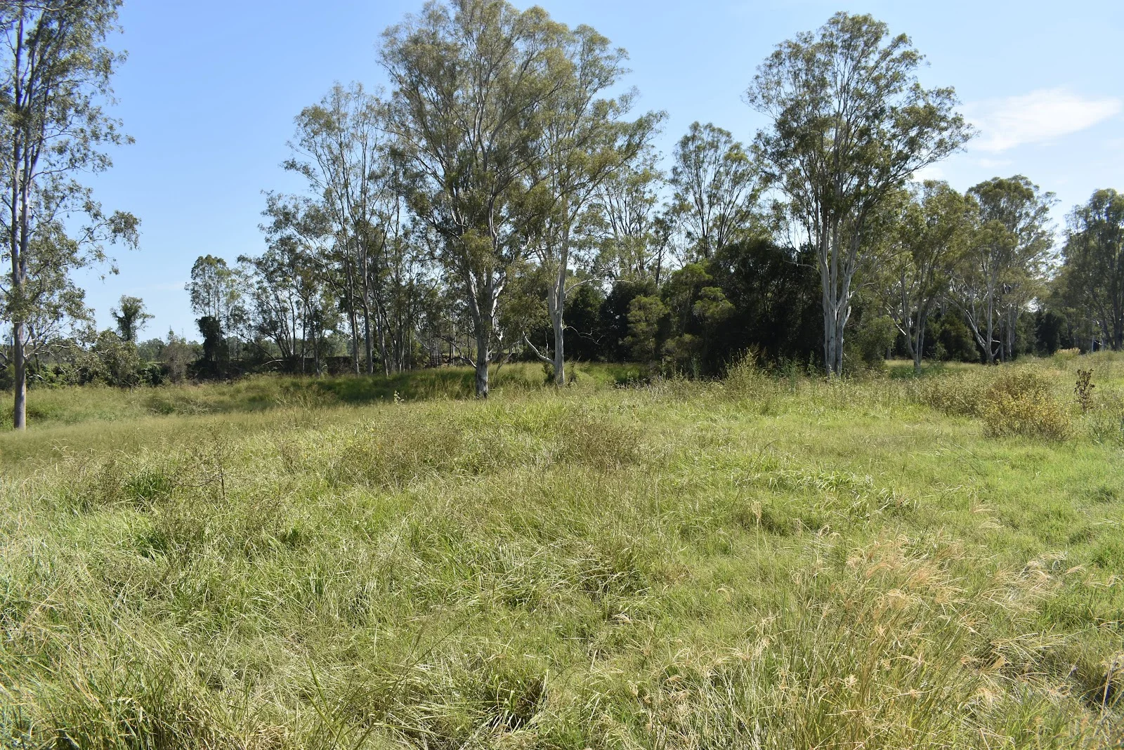 Additional image 15 of lot 103 Pidgeons Road, Tiaro QLD 4650
