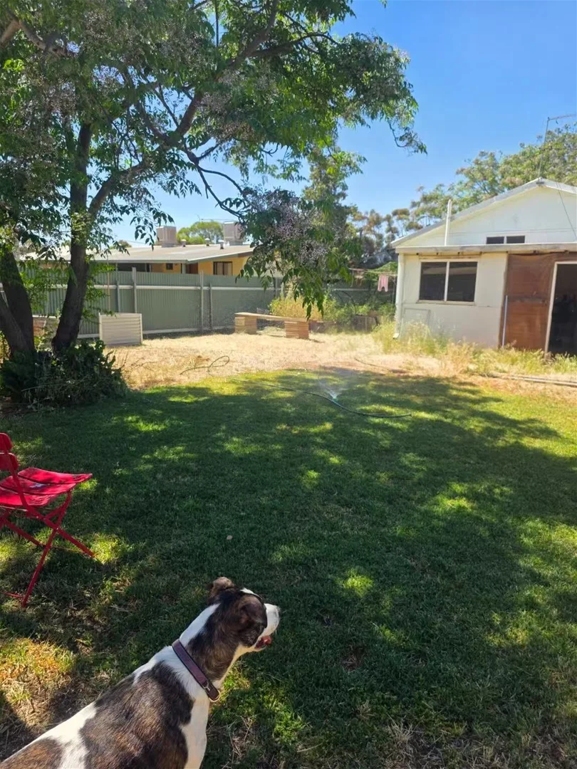 Additional image 5 of 82 Spica Street, Southern Cross WA 6426