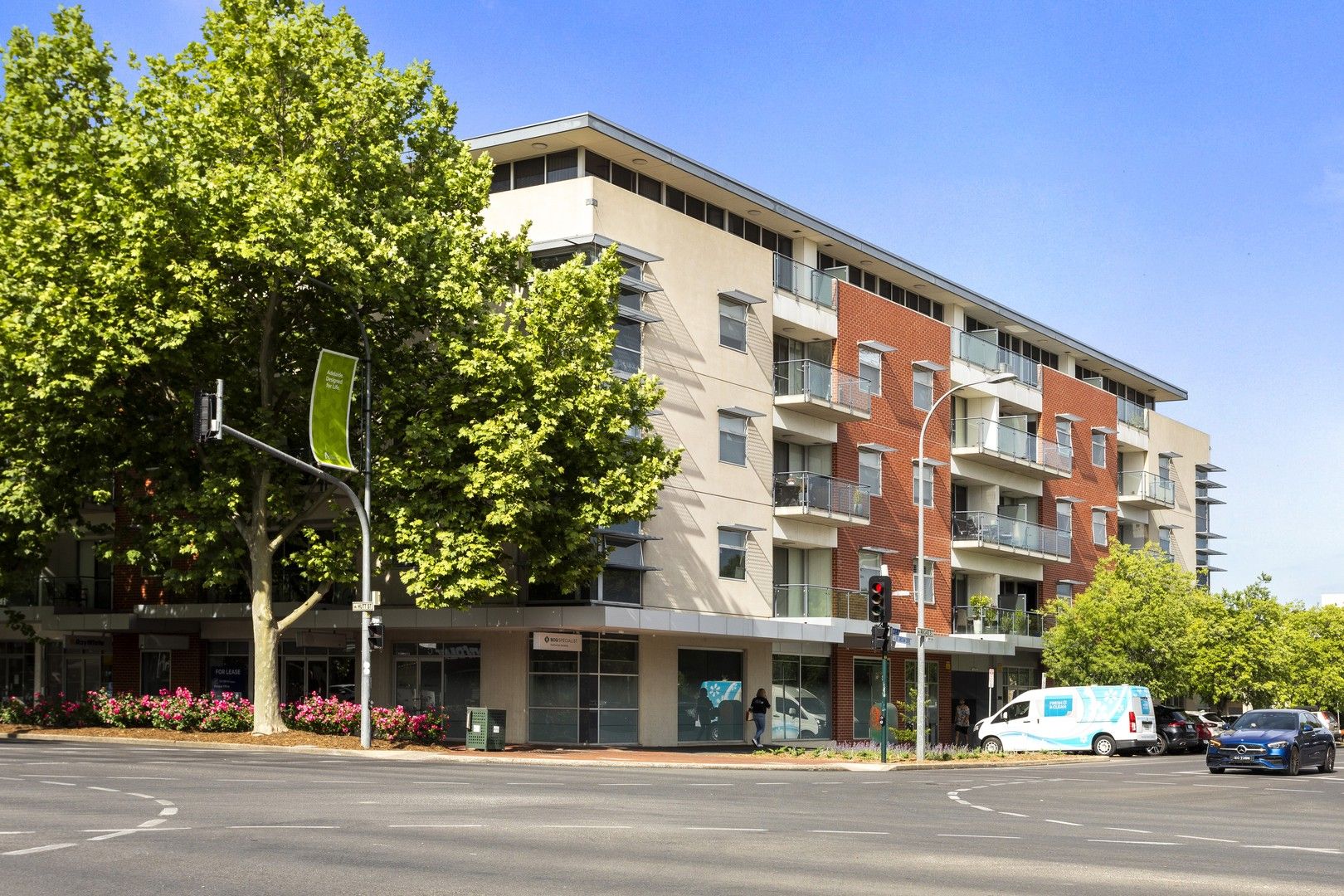 105/293 Angas Street, Adelaide SA 5000 Apartment For Rent Domain