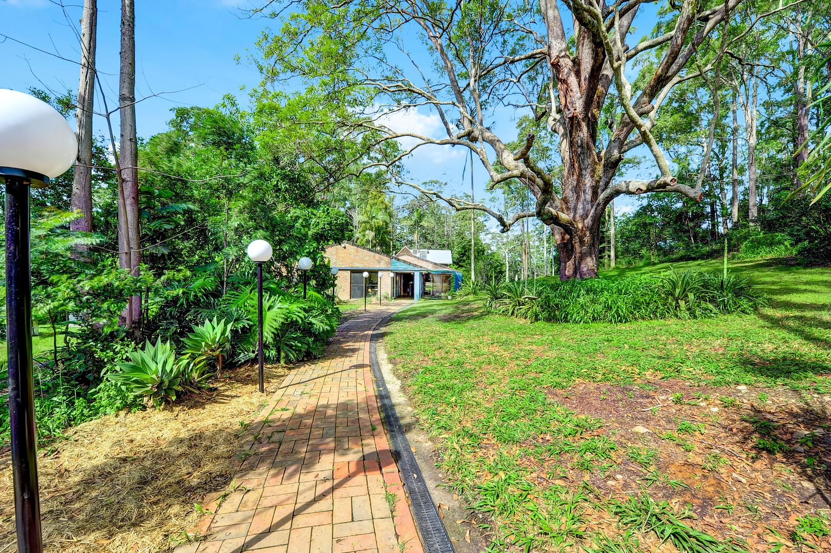 171 Ballengara Bransdon Road, Cooperabung NSW 2441, Image 1