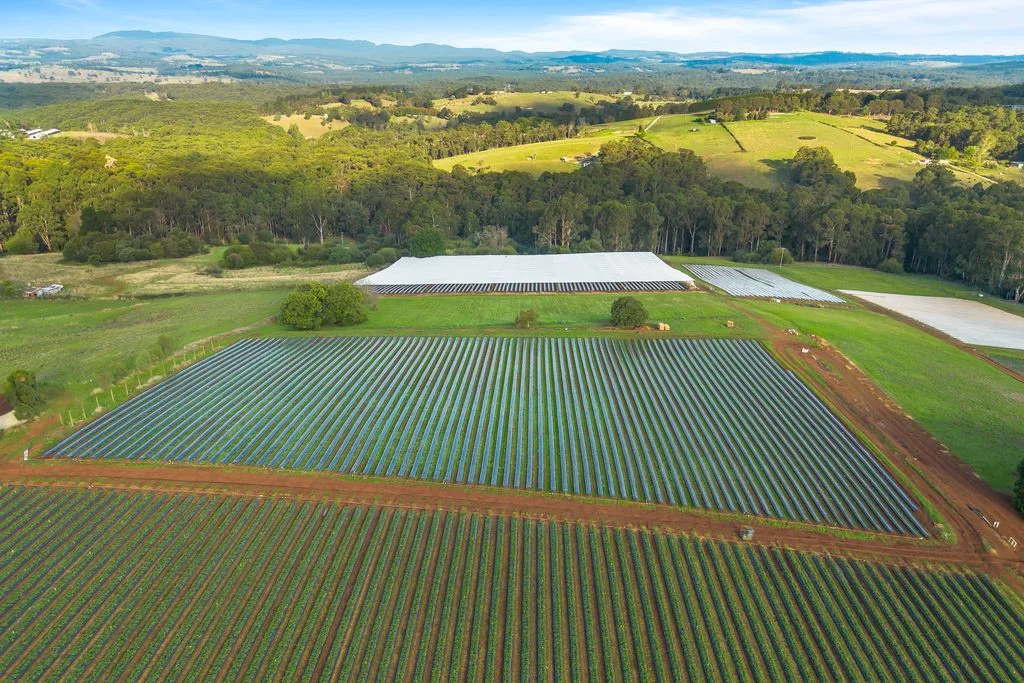 Additional image 19 of 131 Monbulk-Seville Road, Silvan VIC 3795