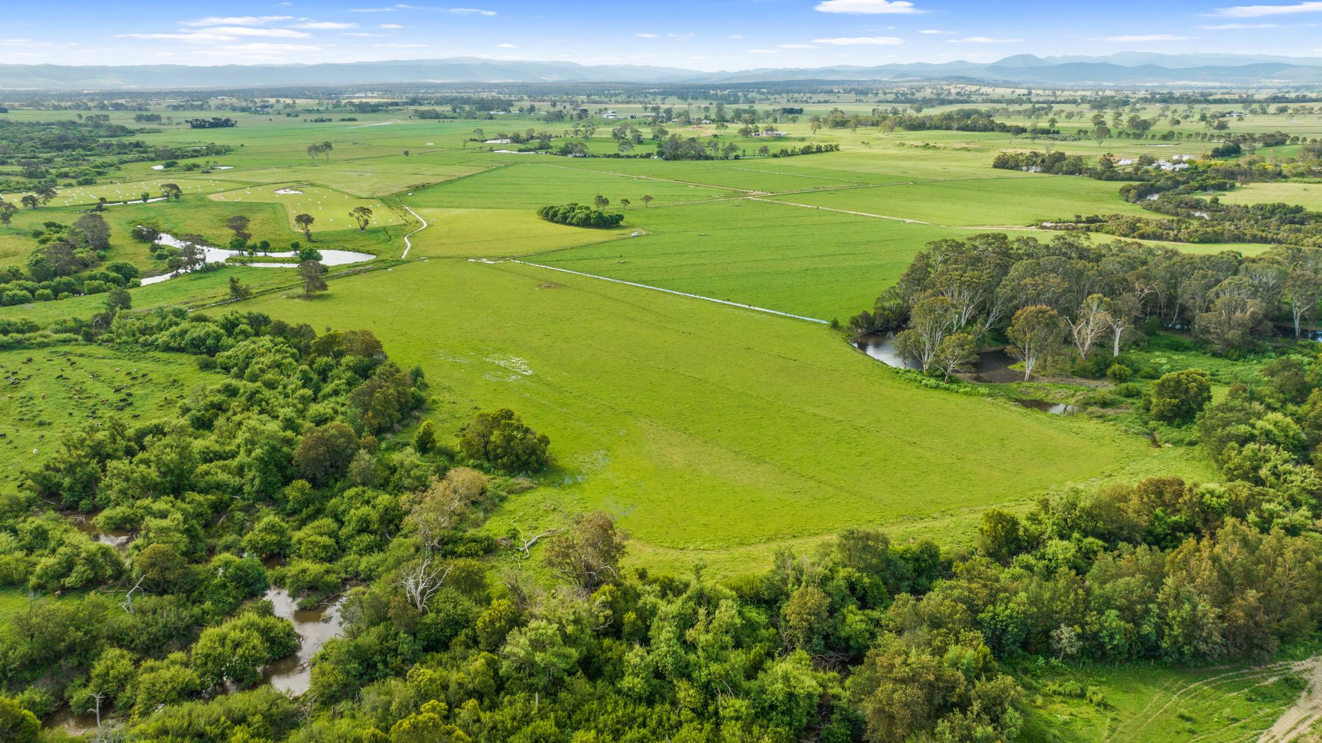 335 Riverview Road, Heyfield VIC 3858 Dairy Farming Property for Sale