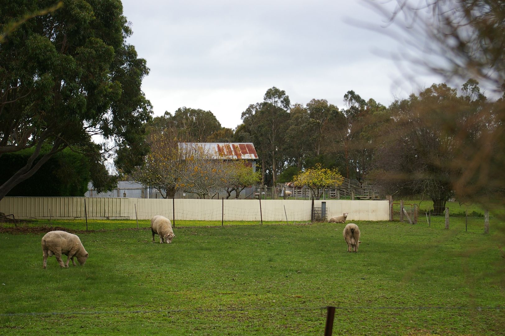 68 Kirkwoods Rd Yulecart Vic 3301 House For Sale Domain