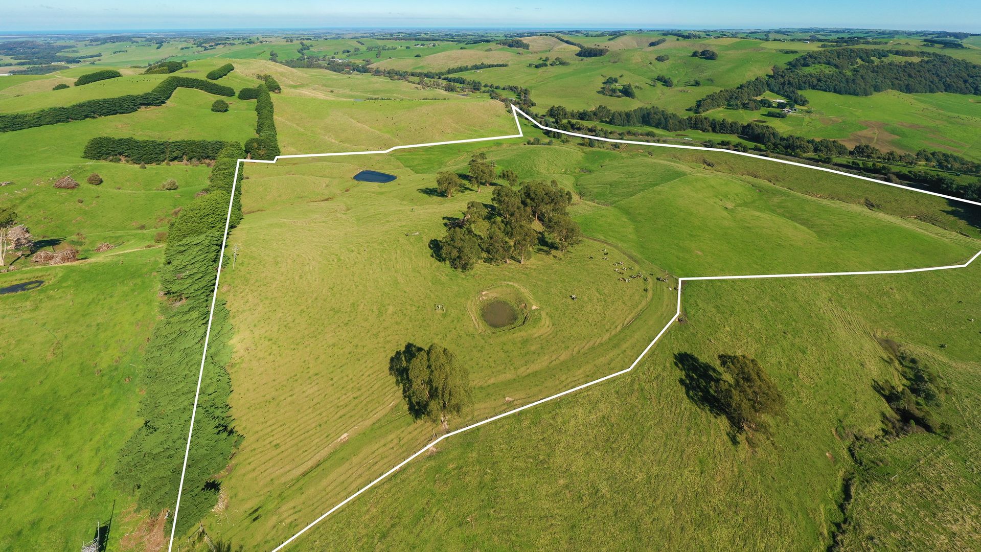 1045 Bena Kongwak Road, Kongwak VIC 3951 Rural Lifestyle Property for