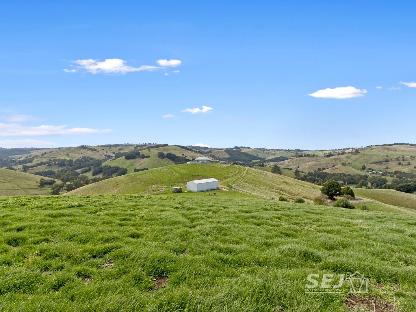 405 Ross and Witherdens Road, Strzelecki VIC 3950, Image 1