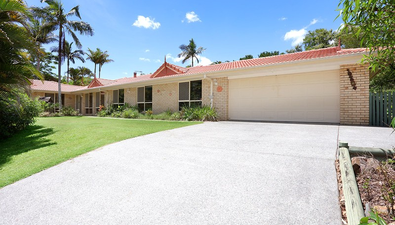 Picture of 3 Sabina Park Court, MOUNT NATHAN QLD 4211