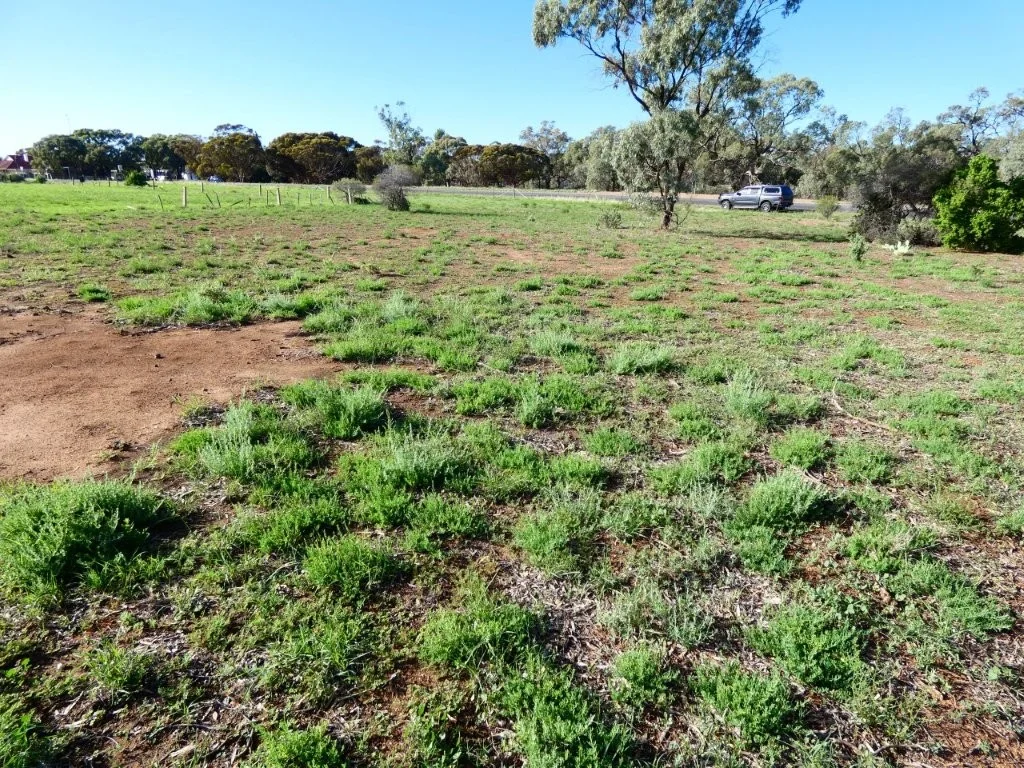 Additional image 5 of 51 Bell St, Beulah VIC 3395