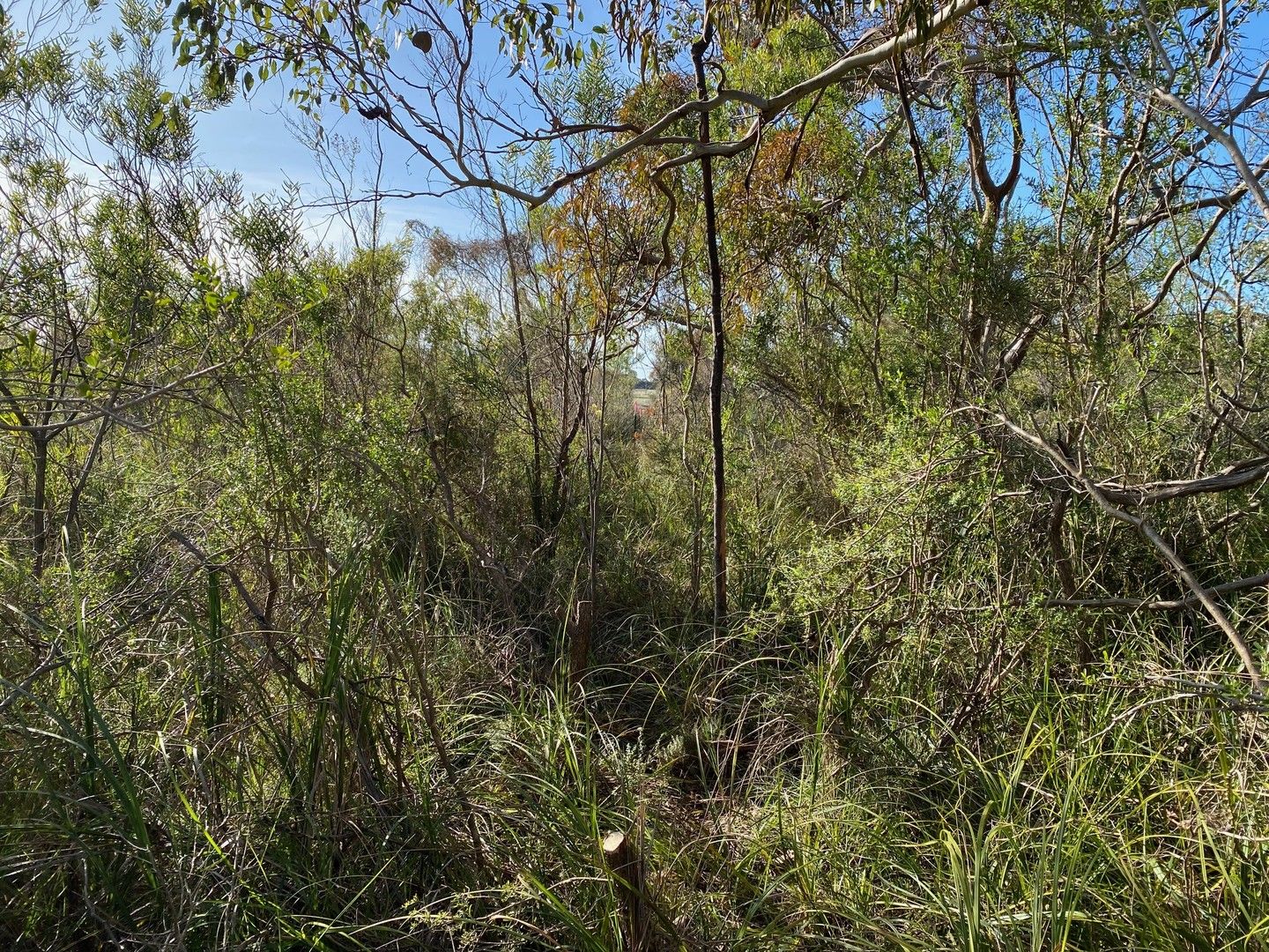 Lot 495 Fifth Street, French Island VIC 3921 Domain