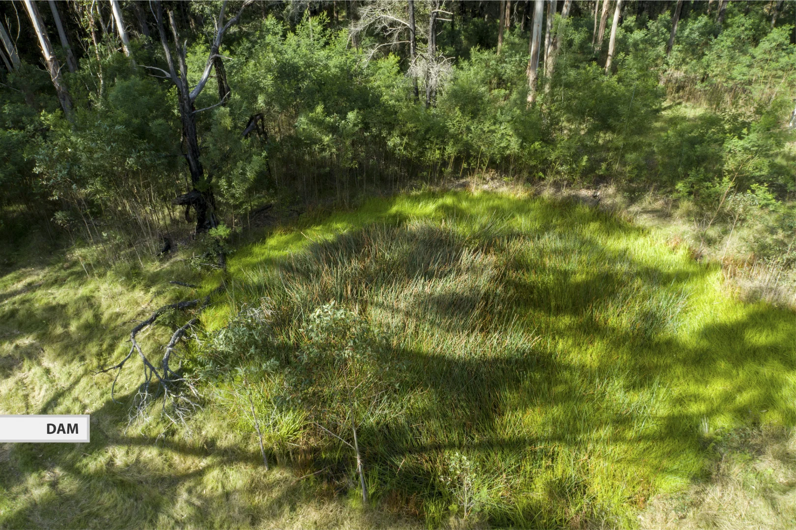 Additional image 20 of 669a Woodburn Road, Morton NSW 2538