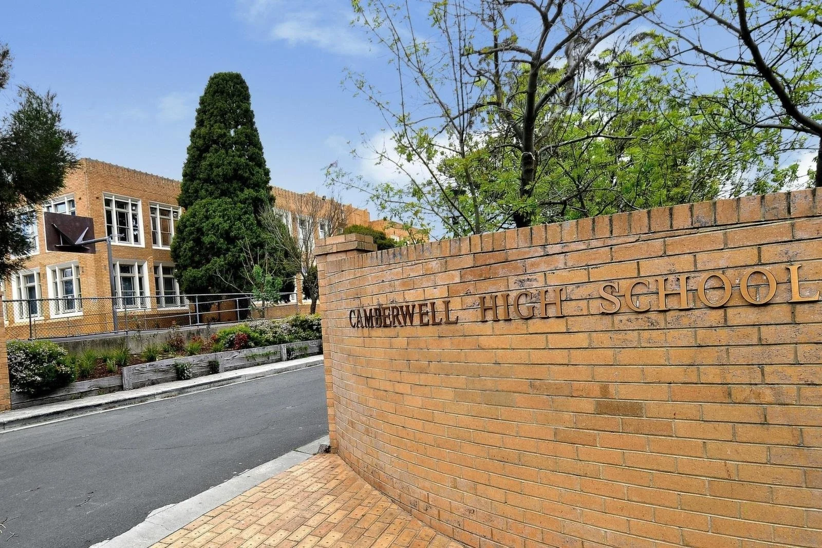 Image 15