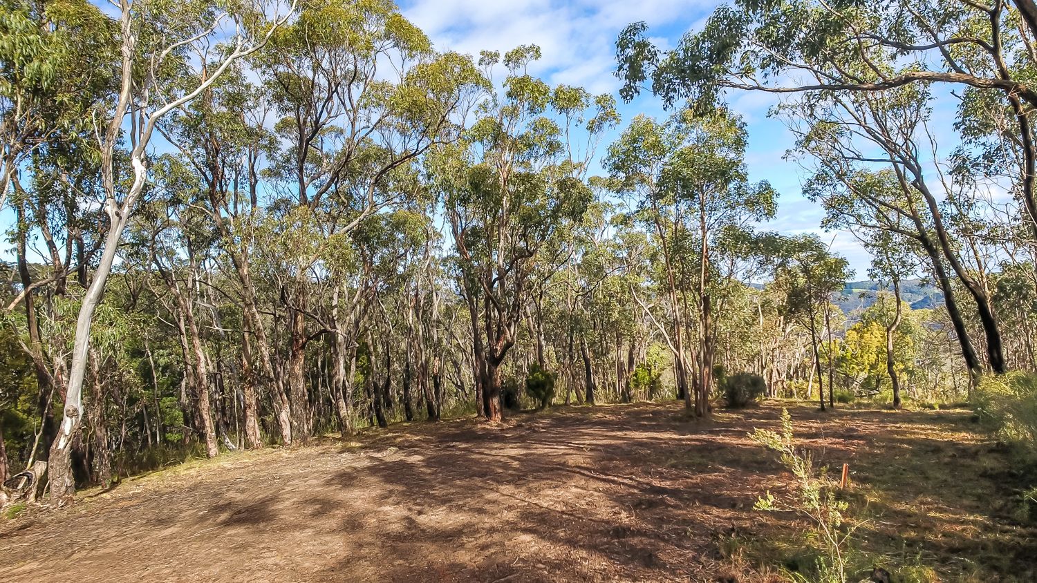 77 Mawson Road, Basket Range SA 5138, Image 0