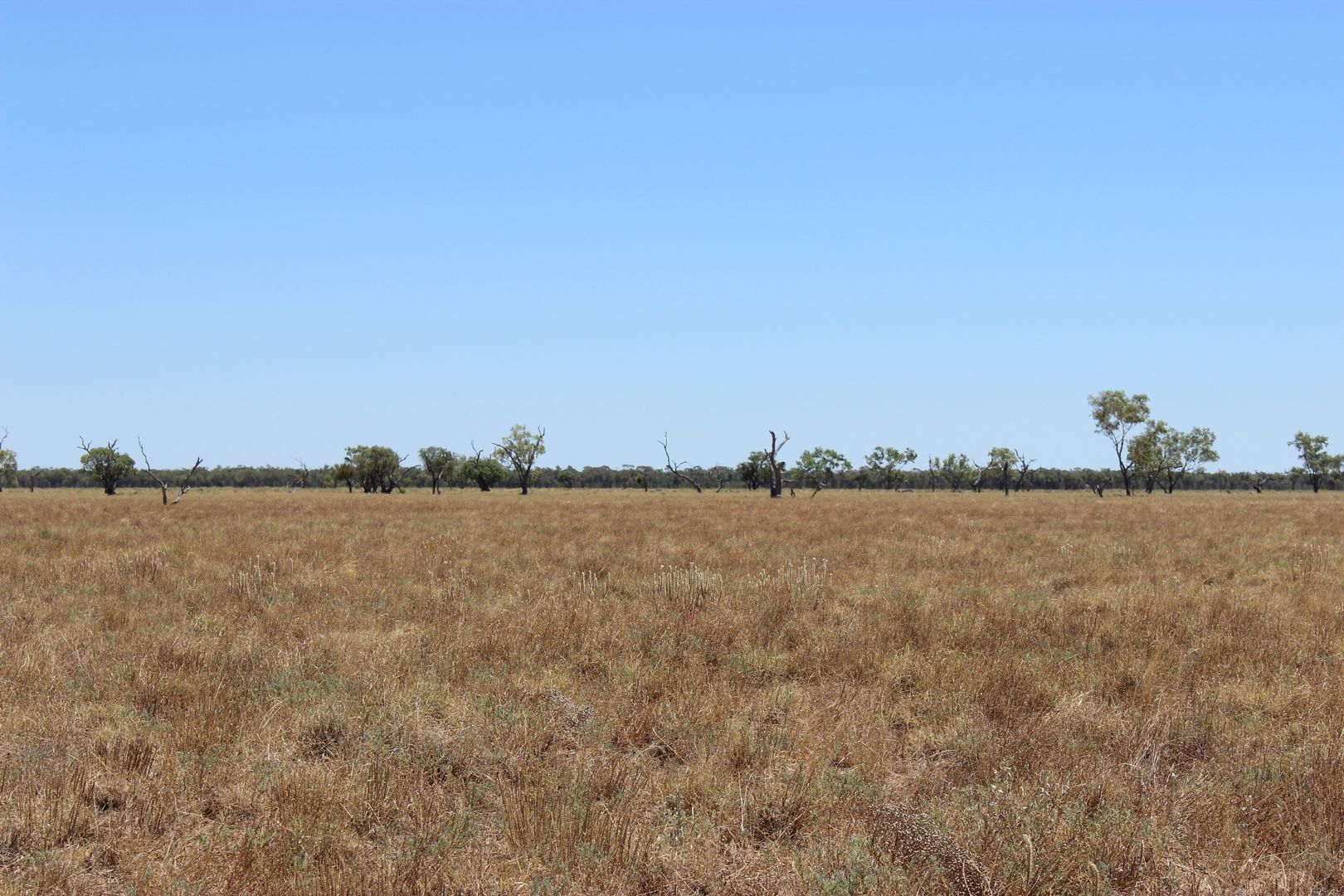 Cunnamulla QLD 4490, Image 1