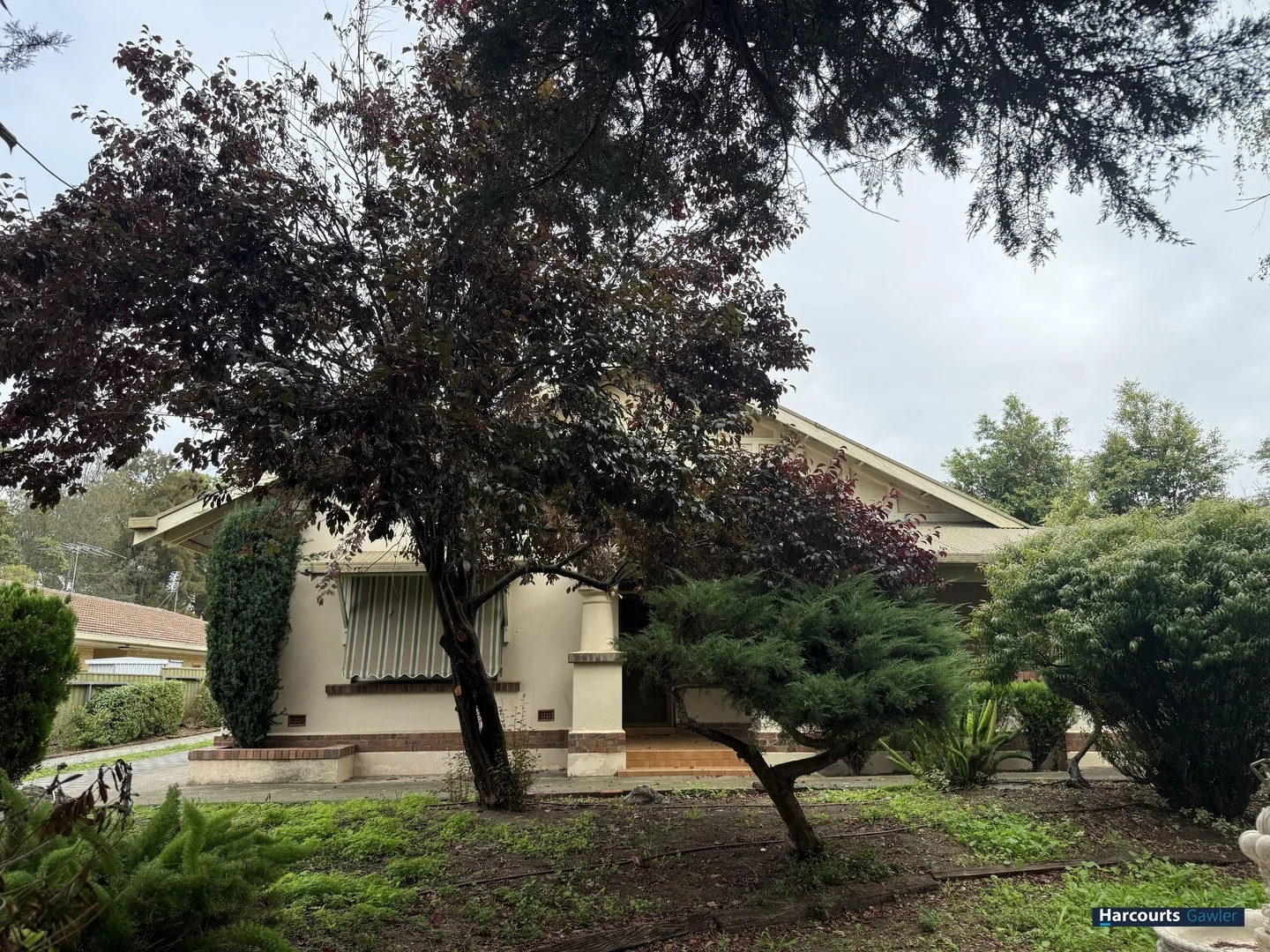 Additional image 2 of 77 Murray Street, Nuriootpa SA 5355