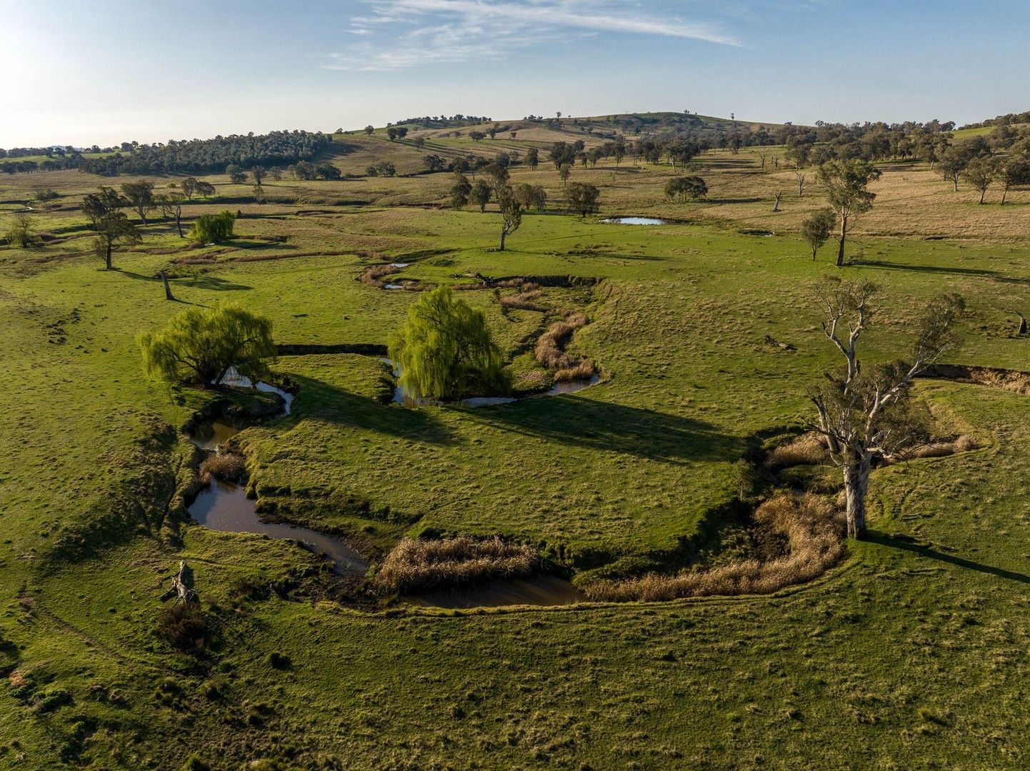 Spring Valley Road, Mountain Creek NSW 2644, Image 0