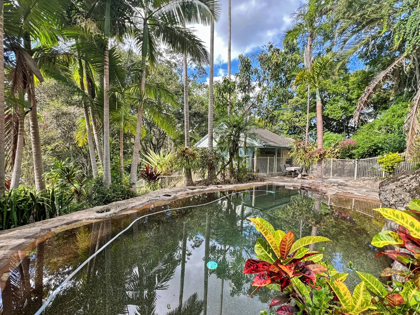 Additional image 17 of 269 SCHREIBERS RD, Cooran QLD 4569