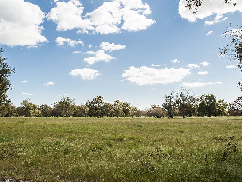 Lot 104 Karnup Creek Road, Hopeland WA 6125, Image 0