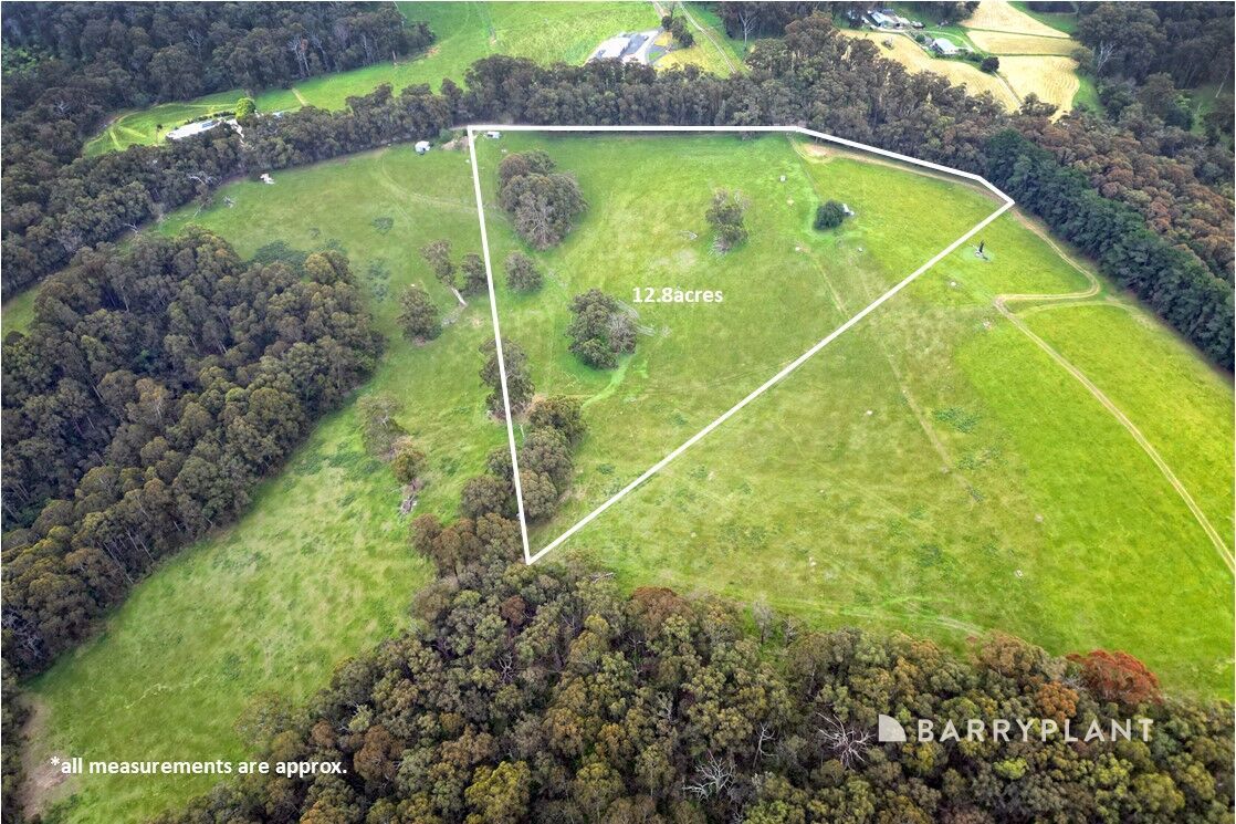 230 Mount Eirene Road, Gembrook VIC 3783, Image 0