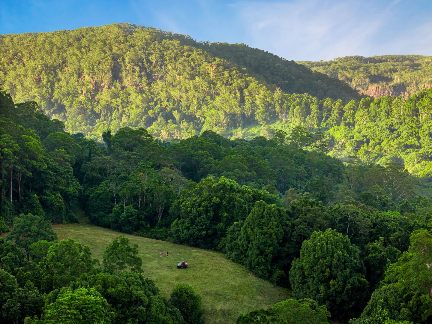 Additional image 10 of 1028 Wilsons Creek Road, Wilsons Creek NSW 2482