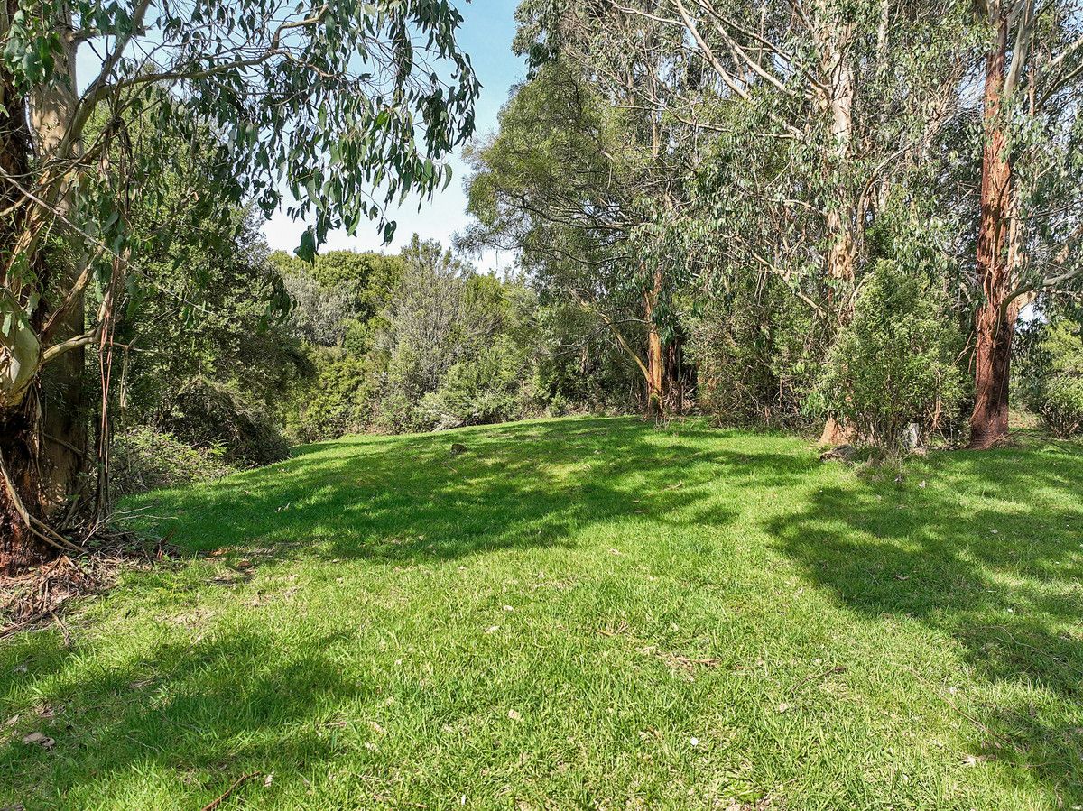 170 Blue Johanna Road, Johanna VIC 3238, Image 1