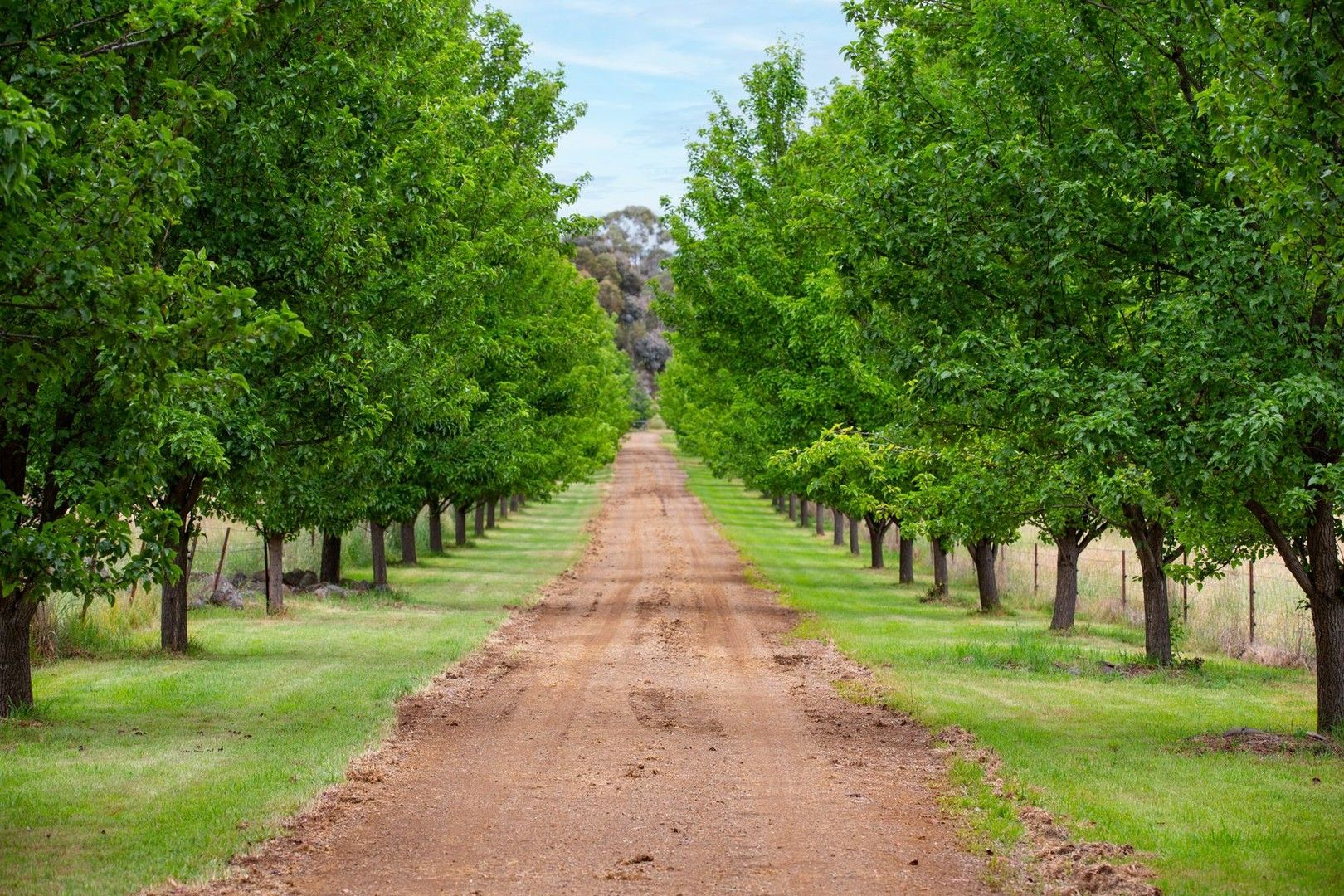 29 Kelly Lane, Spring Terrace NSW 2798, Image 0