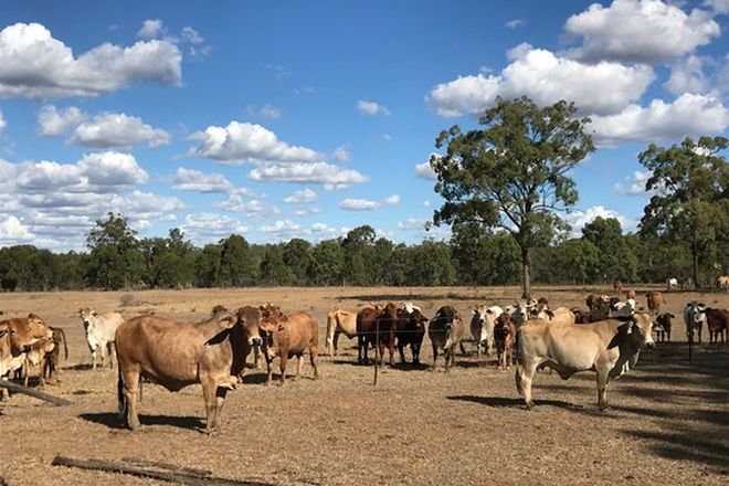 Picture of 321 Olssons Road, PHEASANT CREEK QLD 4702