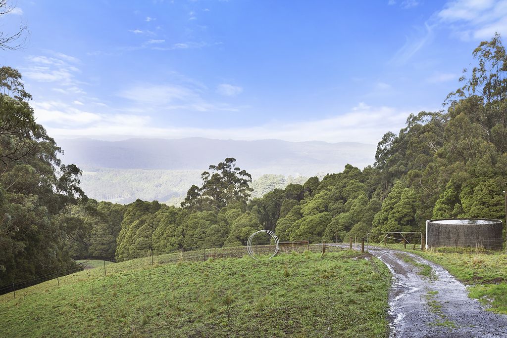 Lot 2, 4555 Great Ocean Road, Lavers Hill VIC 3238, Image 2