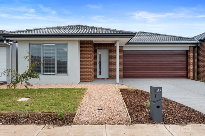 Picture of 56 Pintail Drive, MELTON SOUTH VIC 3338