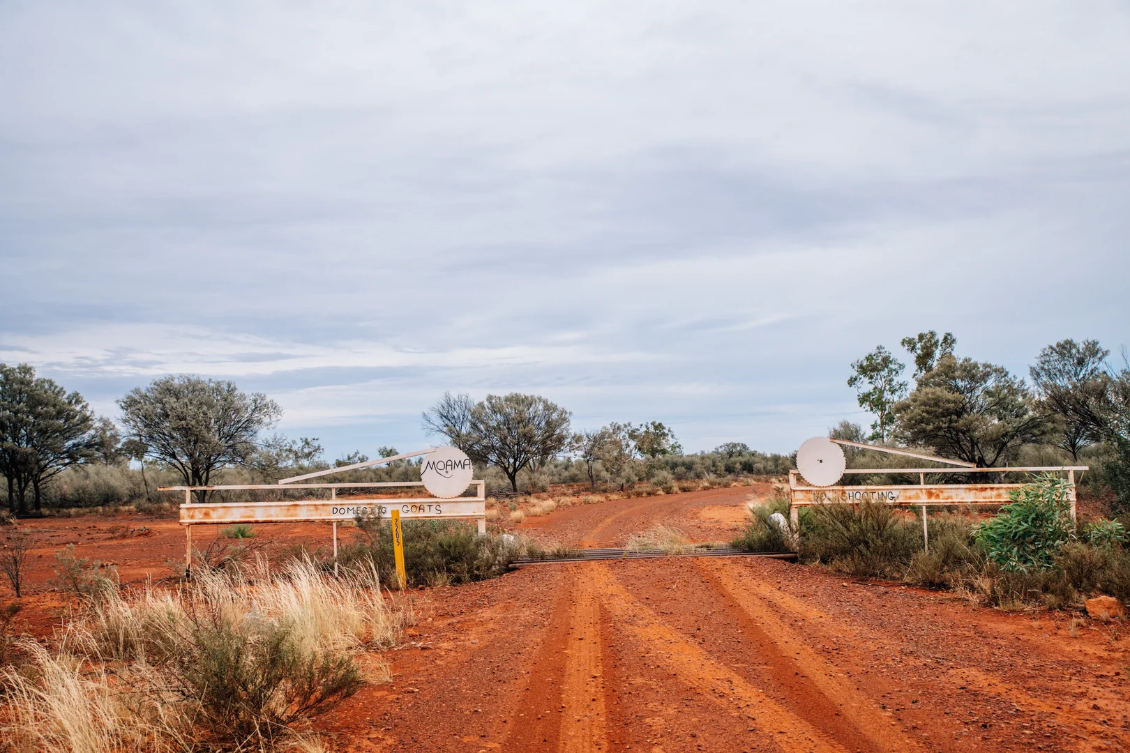 Adavale QLD 4474 photo 4