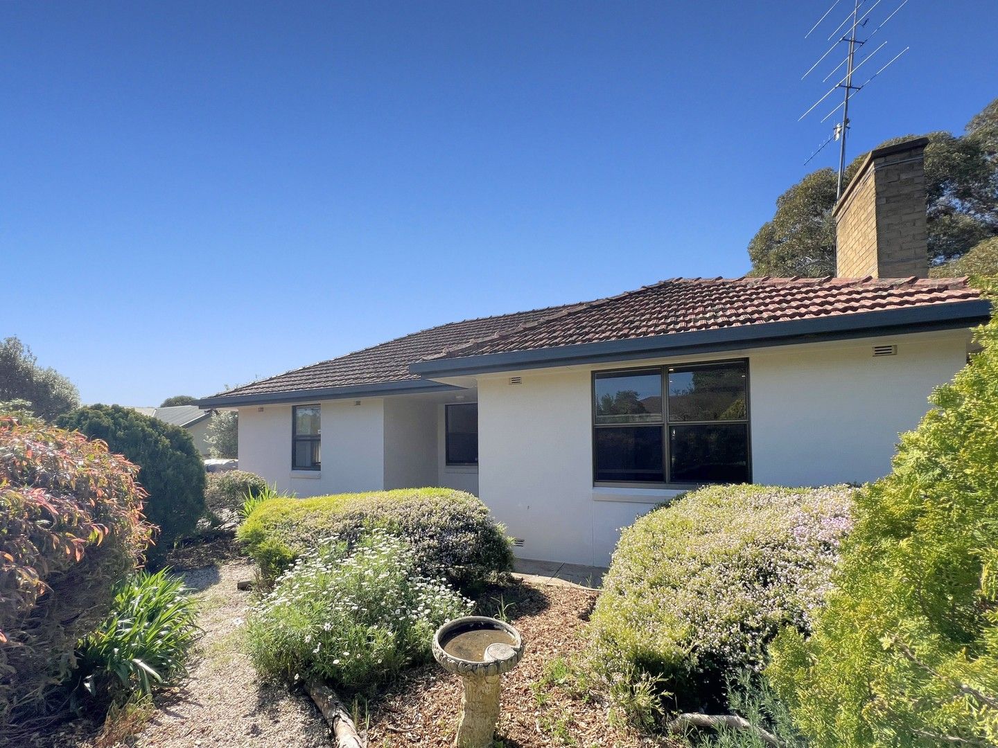 81 London Street, Port Lincoln SA 5606 House For Rent Domain