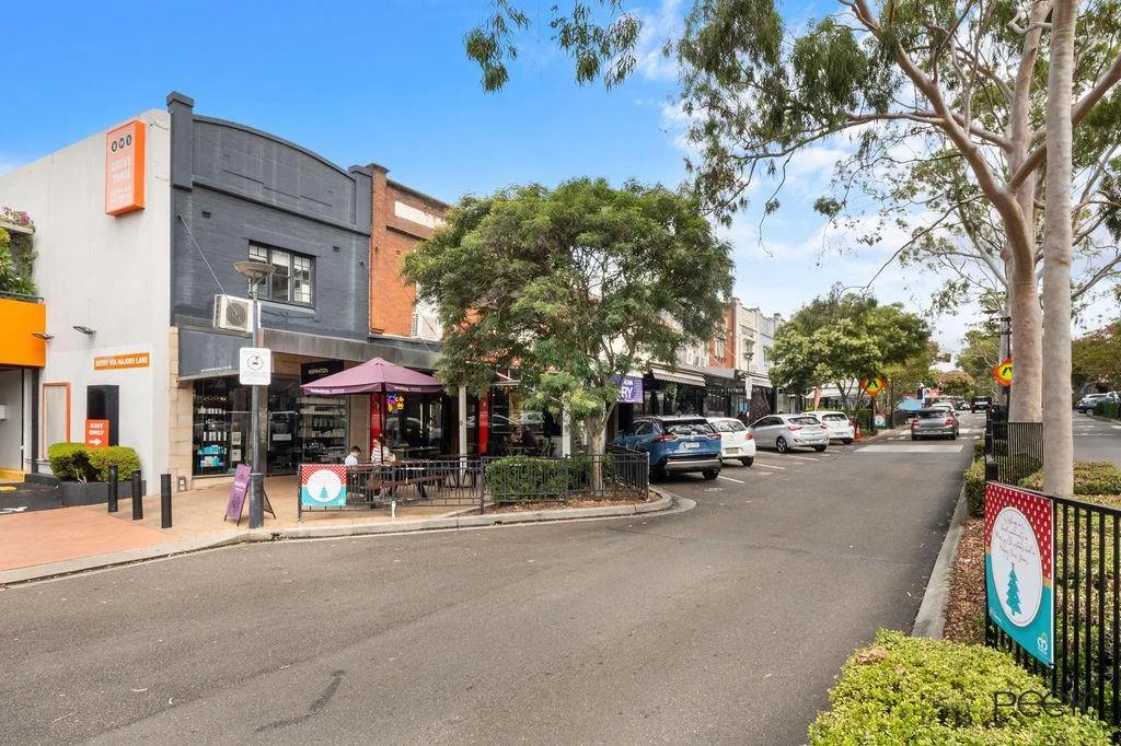 Additional image 14 of 91a Majors Road, Concord NSW 2137