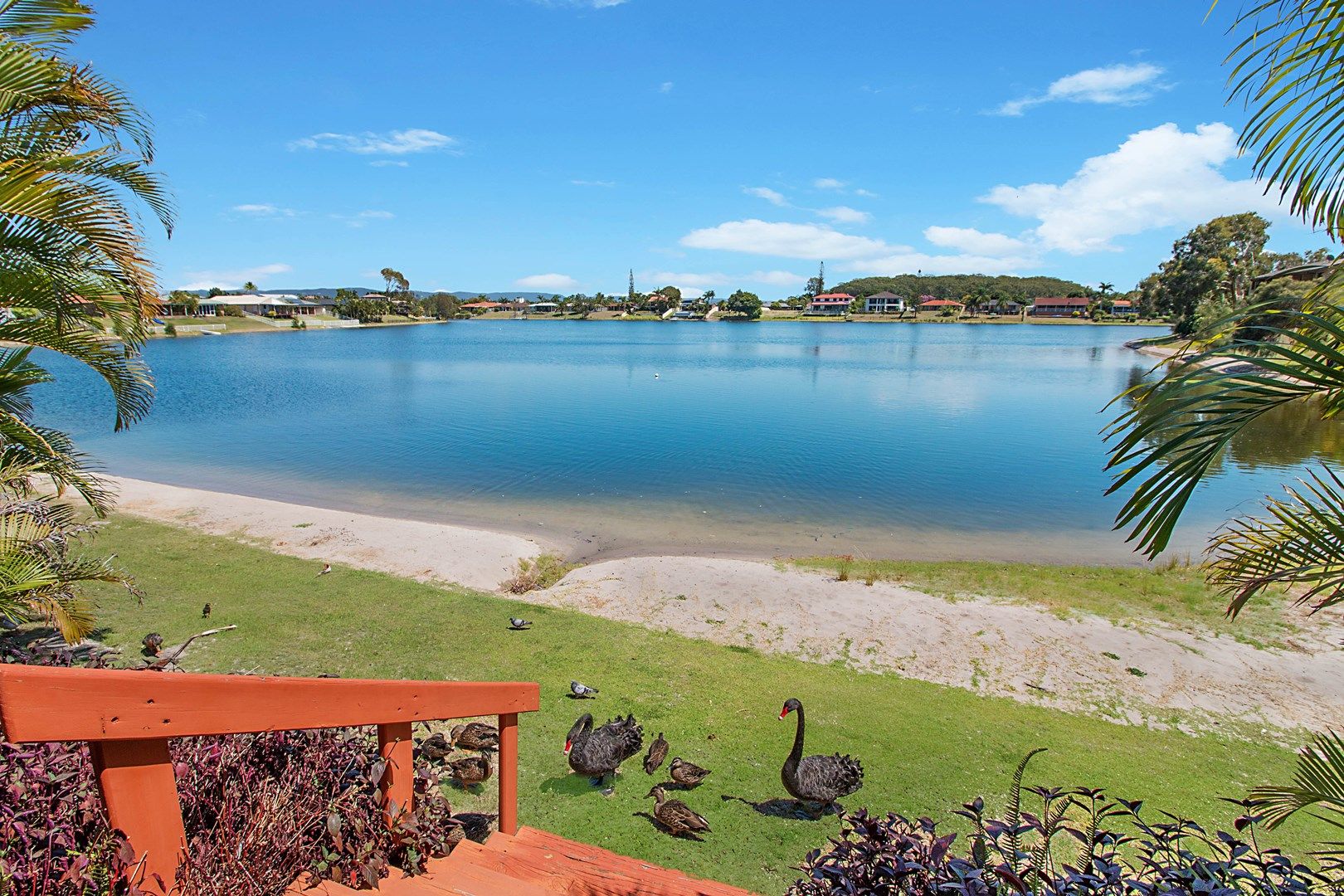 35/11 Shrike Court, Burleigh Waters QLD 4220, Image 0