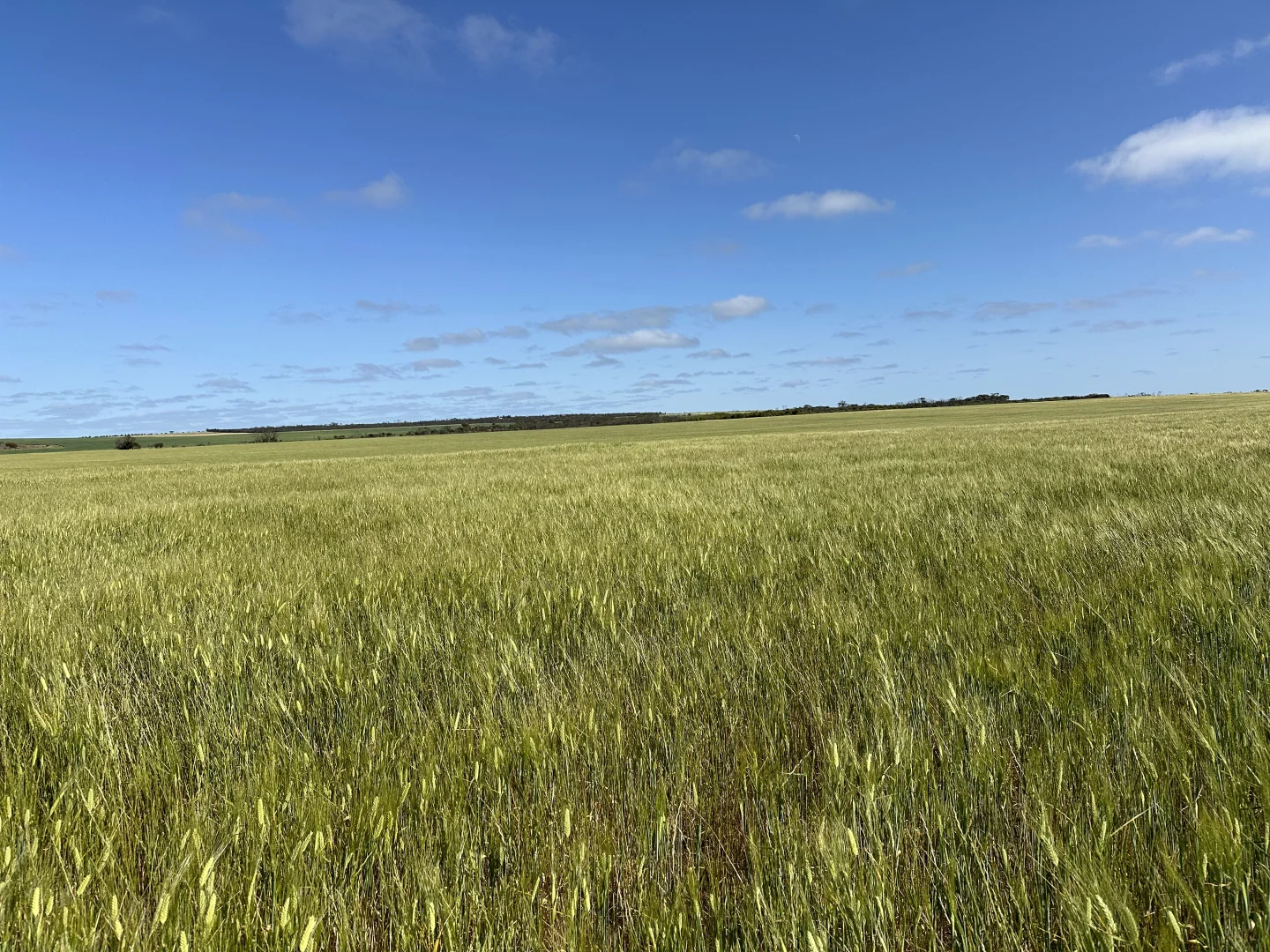Image 12