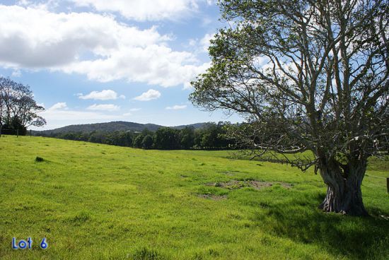 Lot 6 Lachlan Dew Close, Nana Glen NSW 2450, Image 0