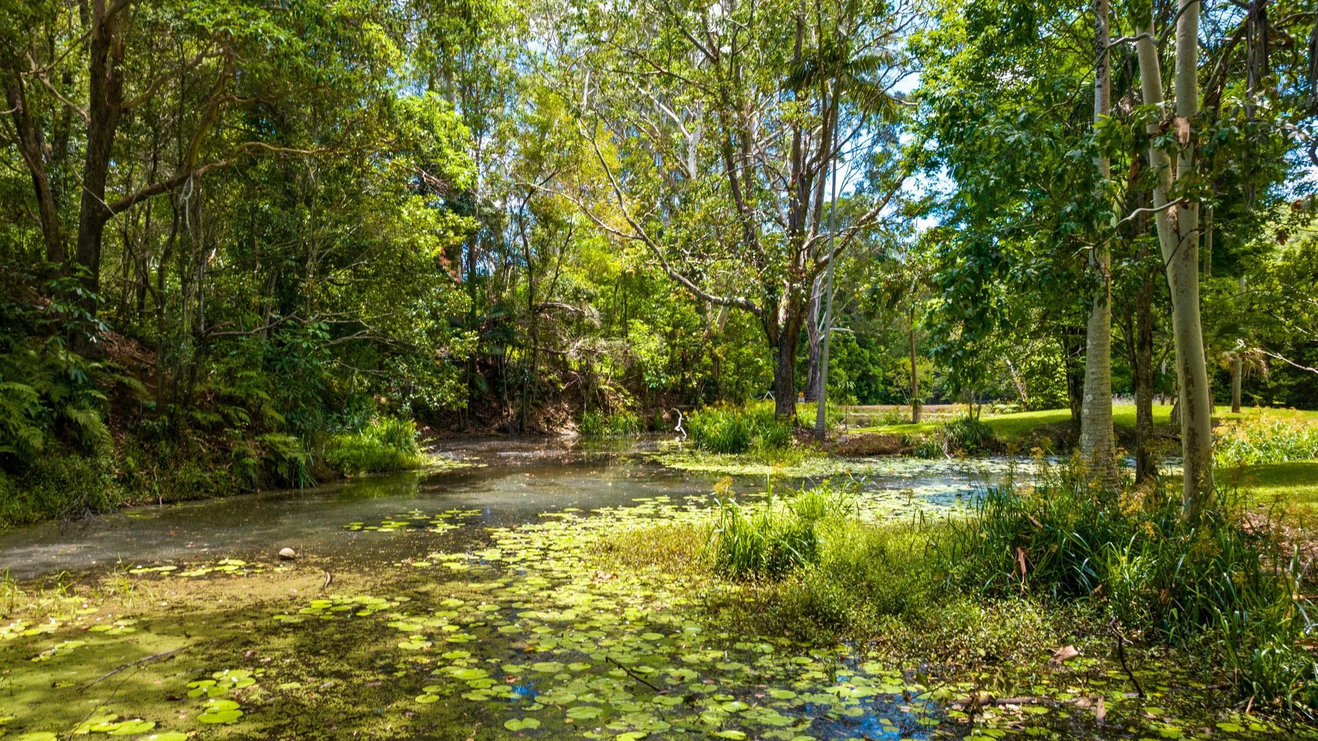 Additional image 26 of 136 Wust Road, Cooroy QLD 4563