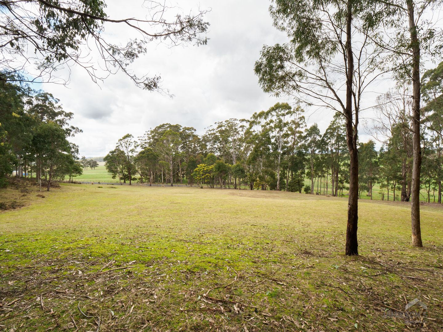 493 Weetah Road, Weetah TAS 7304, Image 1