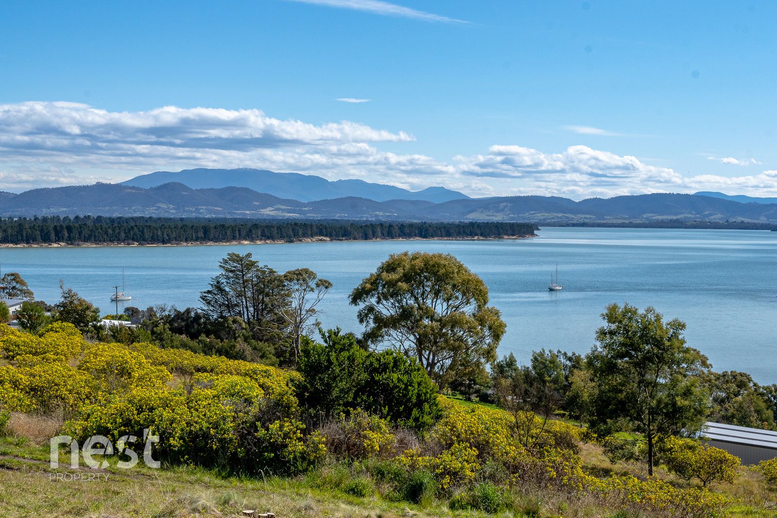 11 Whitlam Court, Lewisham Property History & Address Research Domain