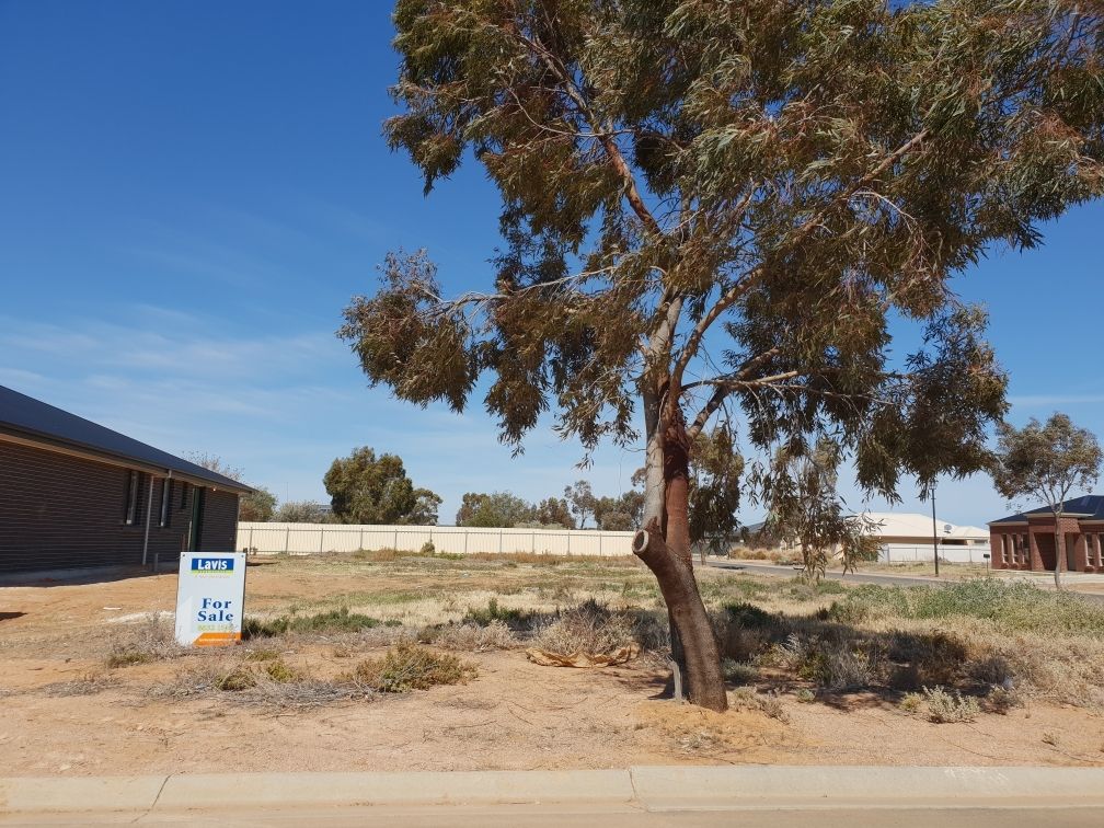 8 Peterson Circuit, Port Pirie SA 5540, Image 0