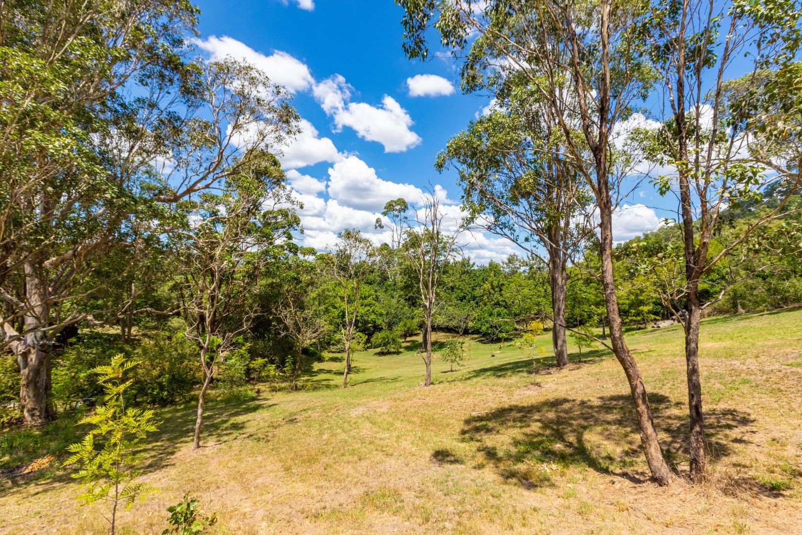 101 Clements Road, East Gresford NSW 2311, Image 2