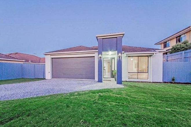 57 Rental Properties In Wakerley Qld 4154 Domain