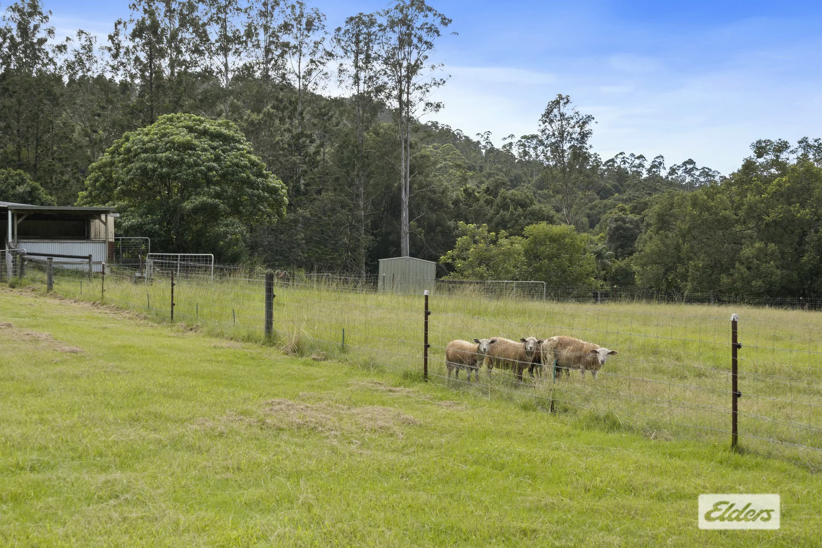 Additional image 22 of 32 Chowan Creek Road, Rowlands Creek NSW 2484